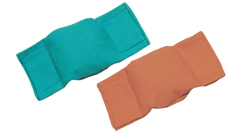 Bisley Beanbag Puppy Dummy Green